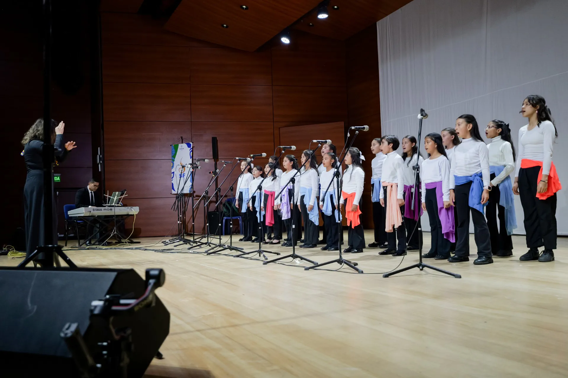 XIII Festival Artístico Internacional (13)